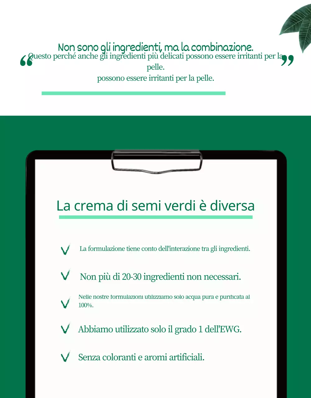 Pagina di dettaglio di Wadiz_Beauty