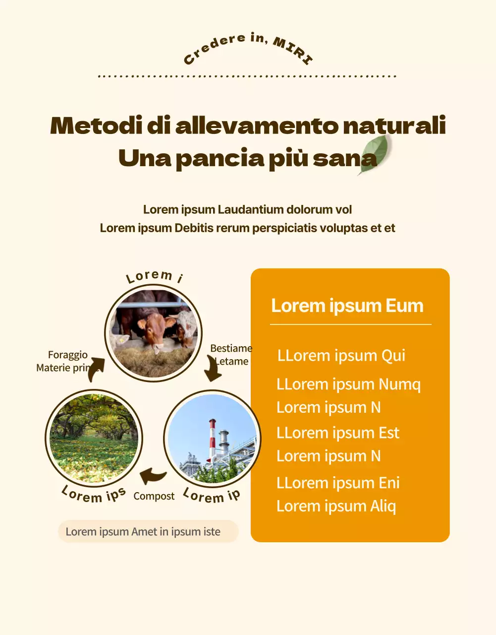 Un'introduzione luminosa e pulita ai succhi di frutta salutari (pagina di dettaglio)