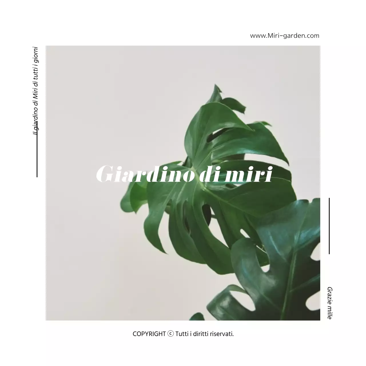 concetto botanico interiorshopping mallexchange cartolina postale