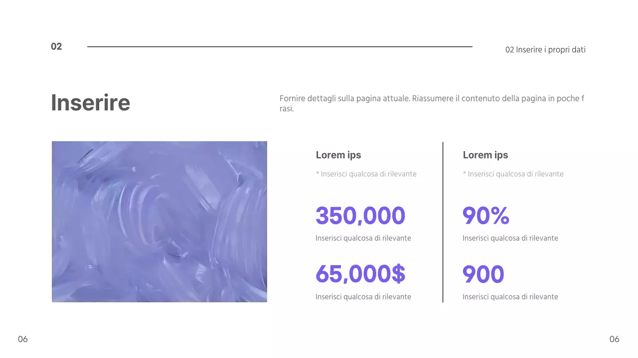 Presentazione dei mirtilli