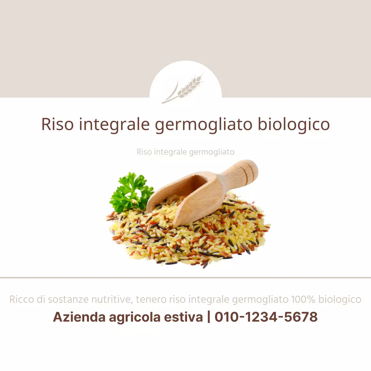 Riso integrale germogliato