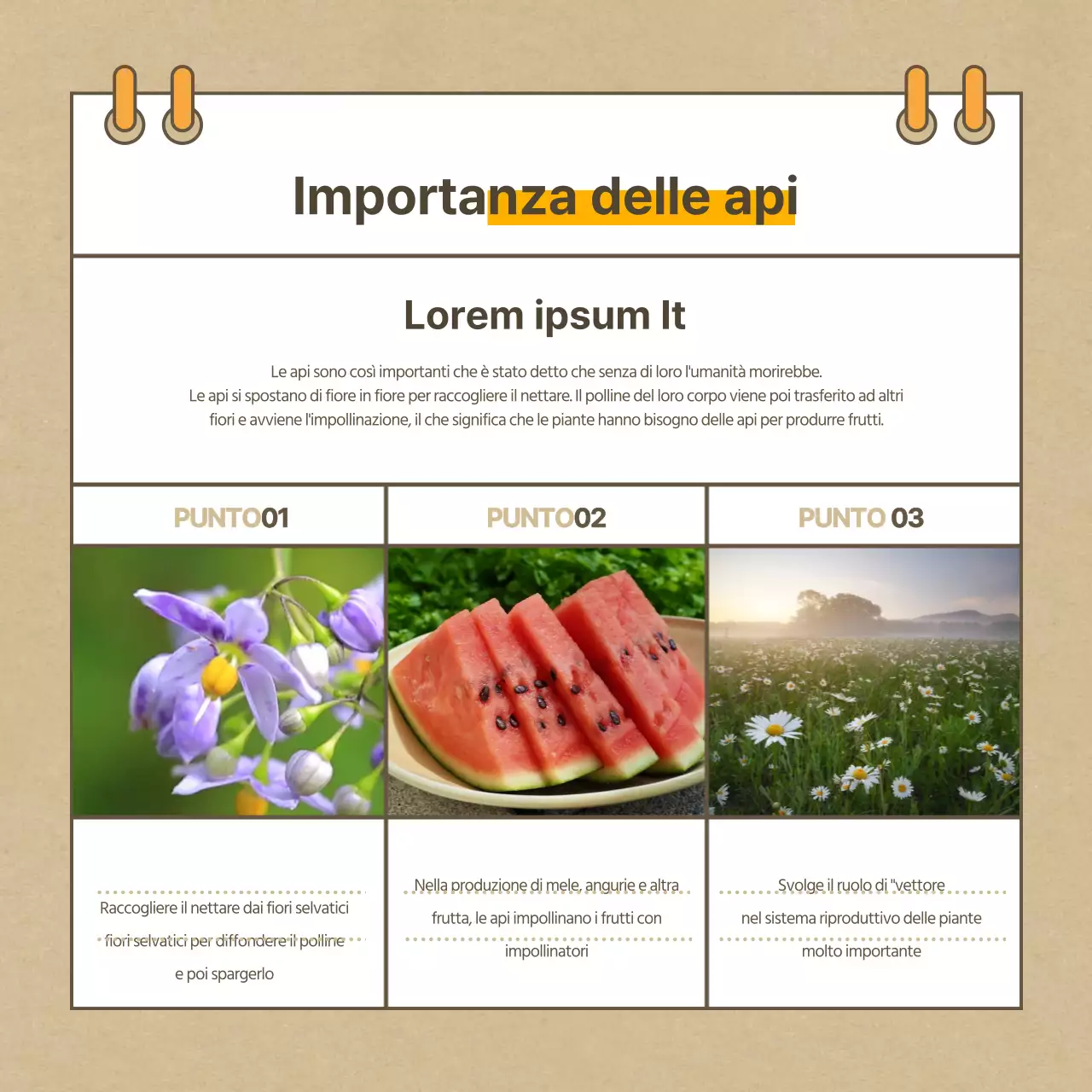 Biglietto beige con ape mancante