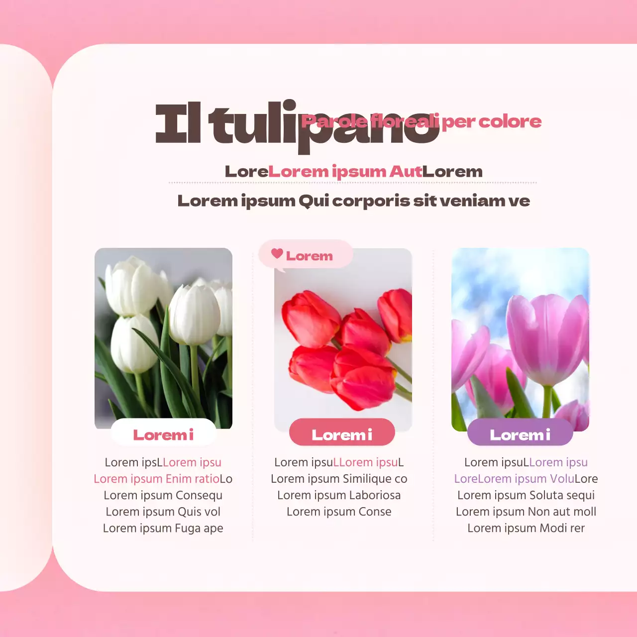 Fiore di tulipano in rosaCarta del dizionarioNews design