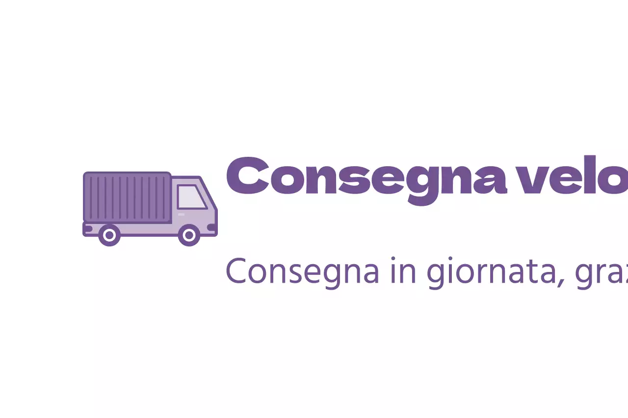 Spedizione rapida