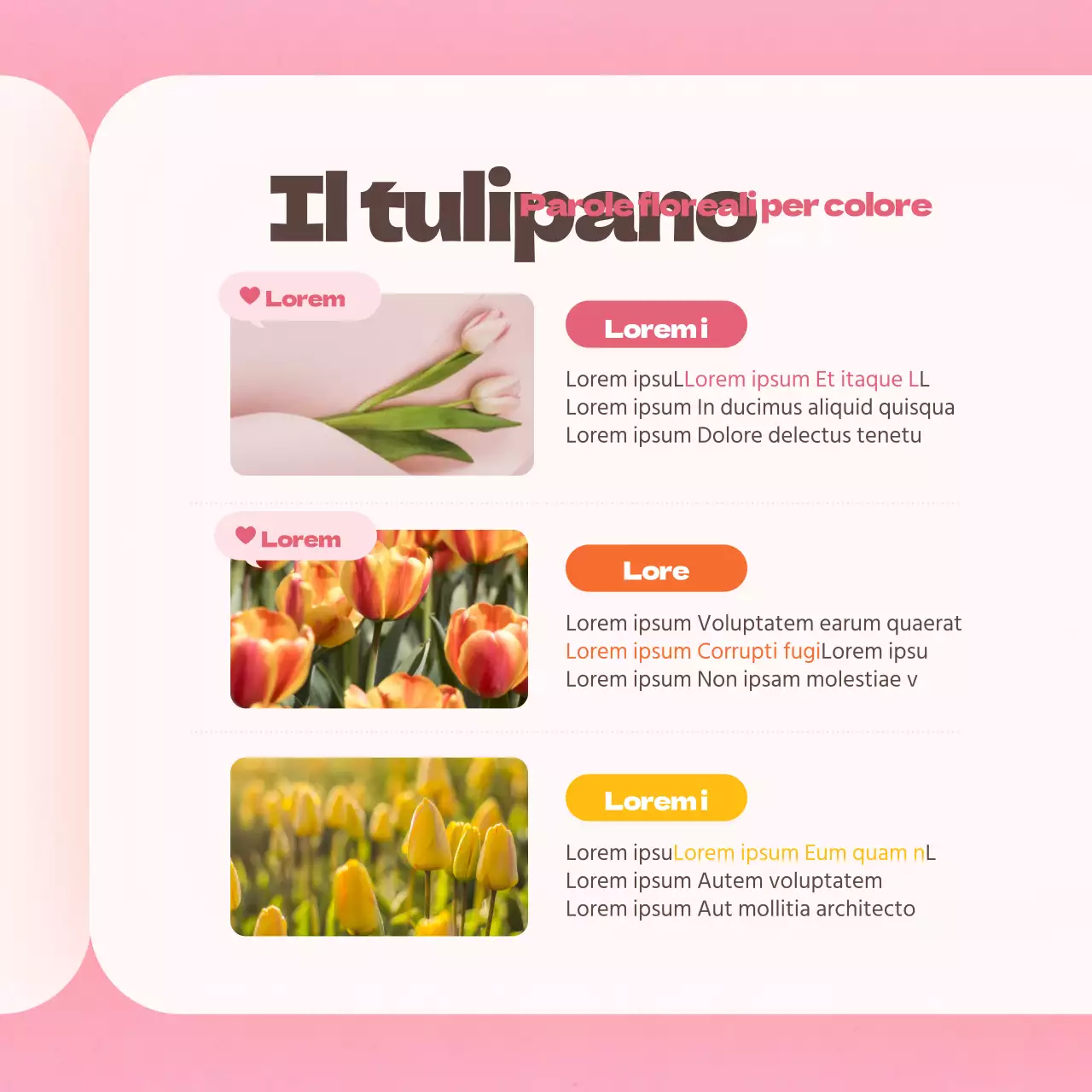 Fiore di tulipano in rosaCarta del dizionarioNews design