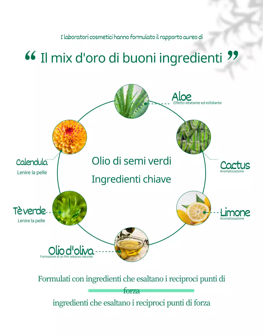 Pagina di dettaglio di Wadiz_Beauty