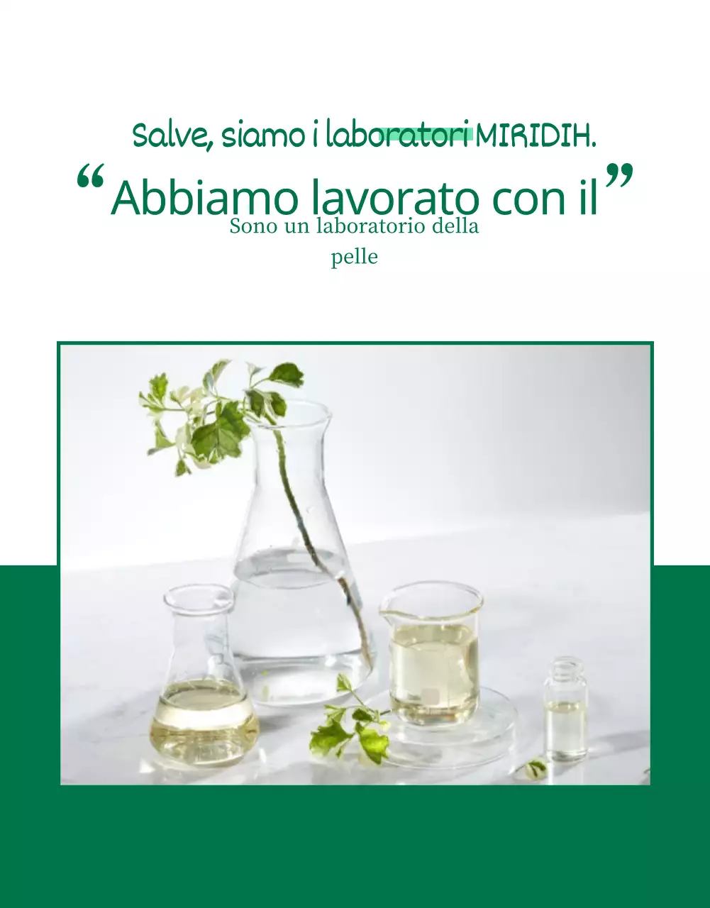 Pagina di dettaglio di Wadiz_Beauty