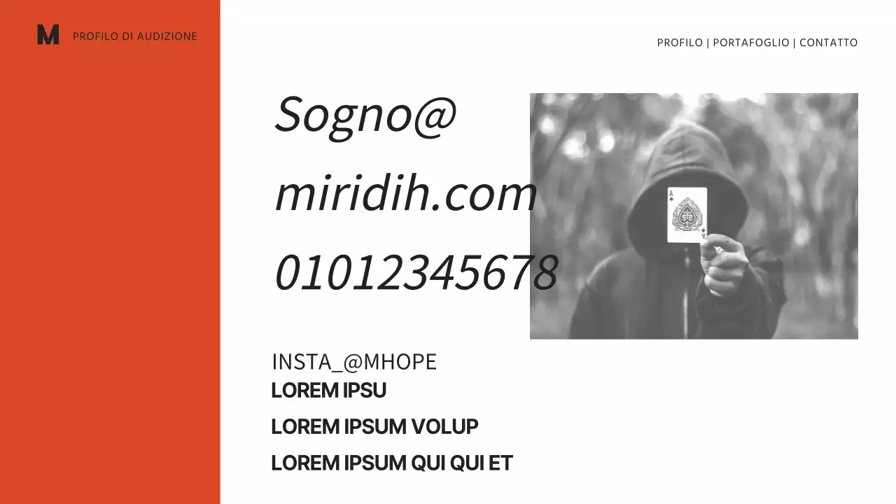 Portafoglio di intrattenimento