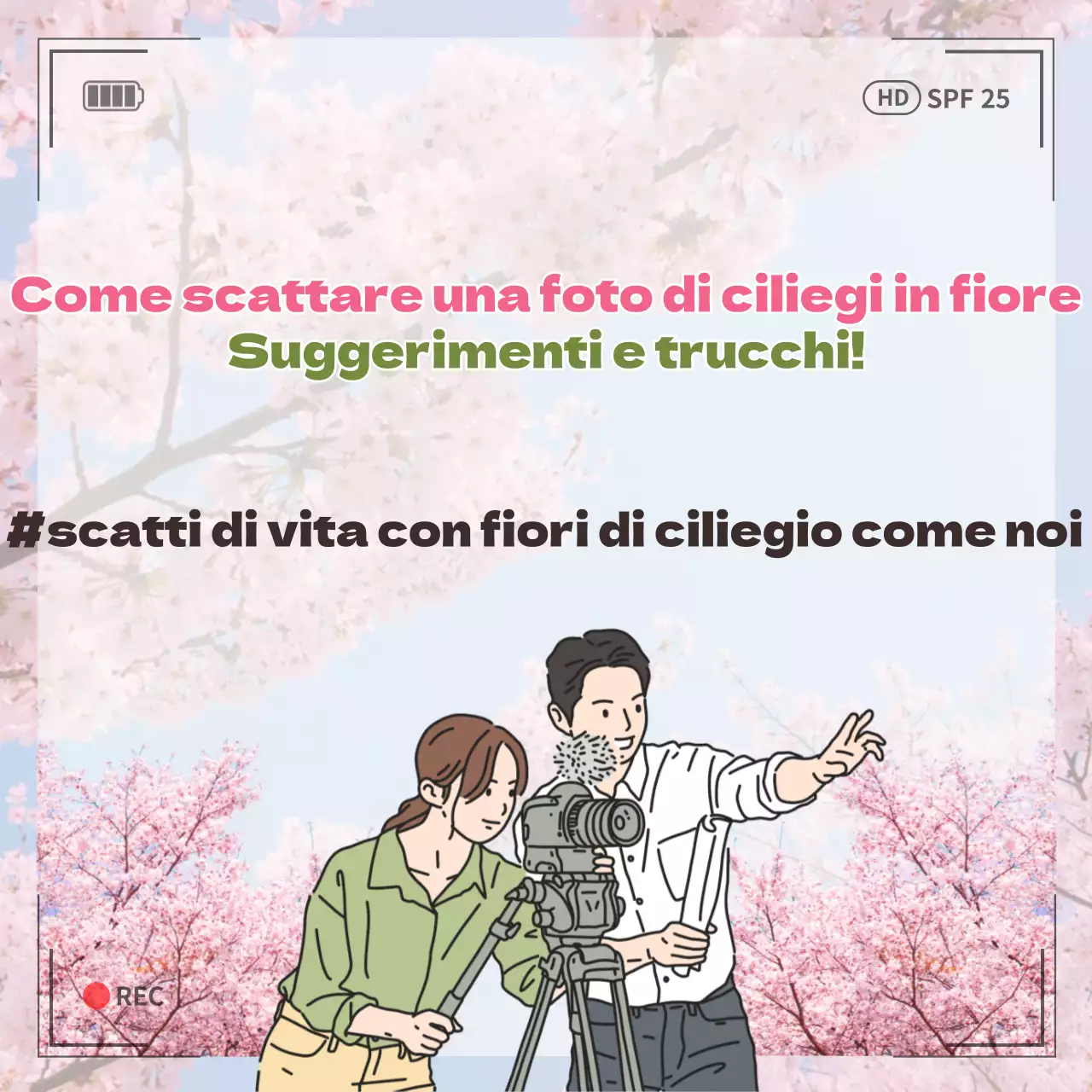 Suggerimenti su come scattare una foto ai fiori di ciliegio con fiori di ciliegio rosa e un concetto di cornice per la macchina fotografica