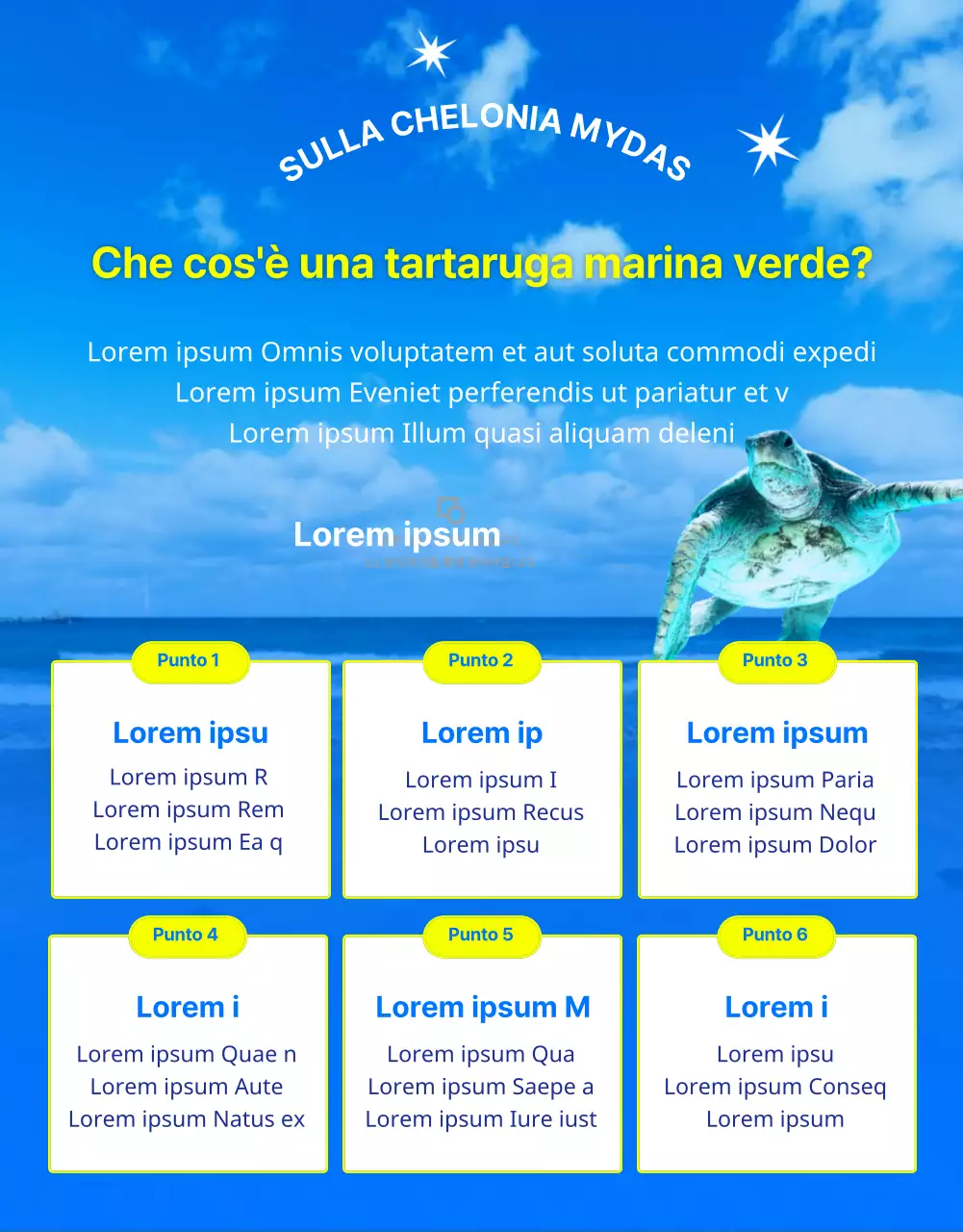 Finanziamenti per la conservazione della tartaruga marina blu e gialla, una creatura della barriera corallina a rischio di estinzione.