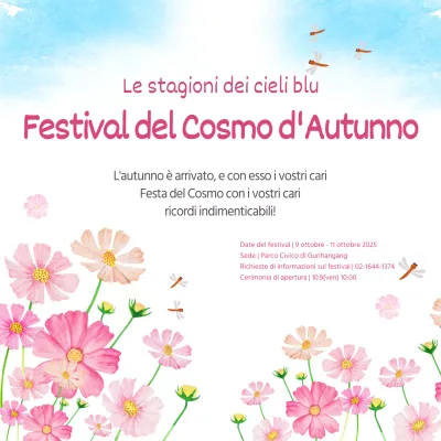 Festival Cosmos