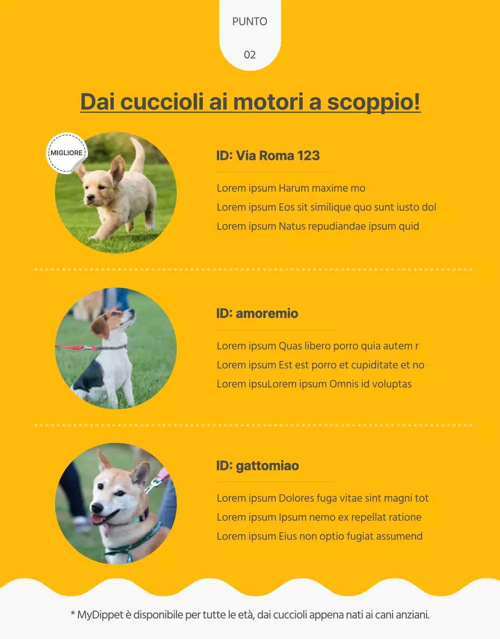 Sui bocconcini per animali domestici fatti in casa con un tocco di giallo e verde