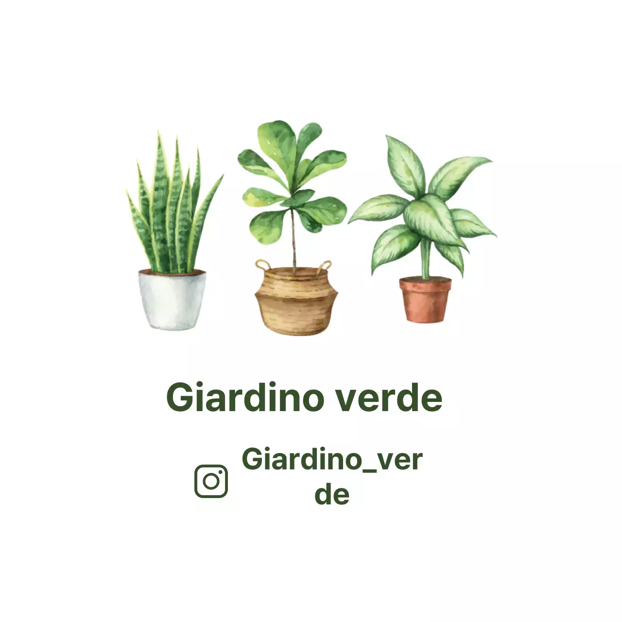 Etichette bianche illustrate e pulite per giardini botanici