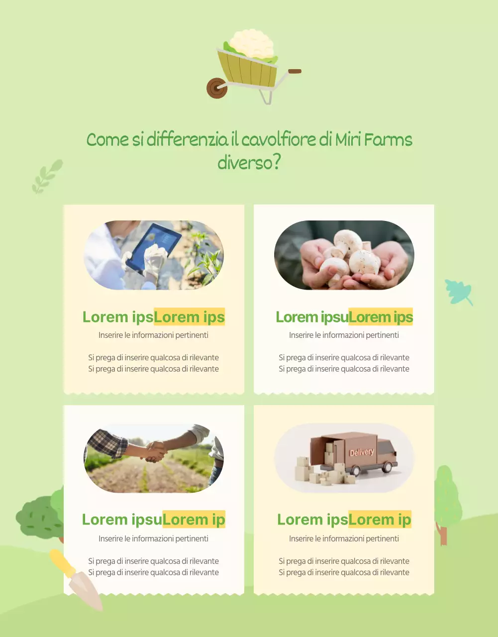 Promuovere la descrizione del cavolfiore verde e giallo naturale