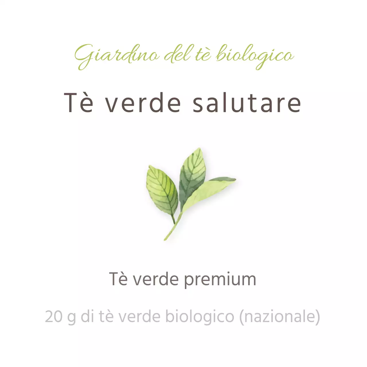 Adesivo semplice per il tè verde in colore chartreuse