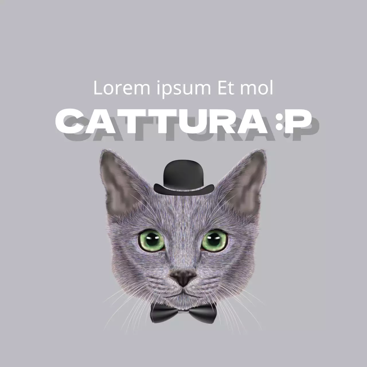 Croccantini biologici di qualità superiore per cani