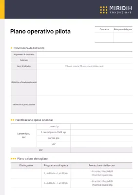 Modulo per il Piano Operativo del Progetto Pilota d'Impresa nei colori a punti giallo-blu