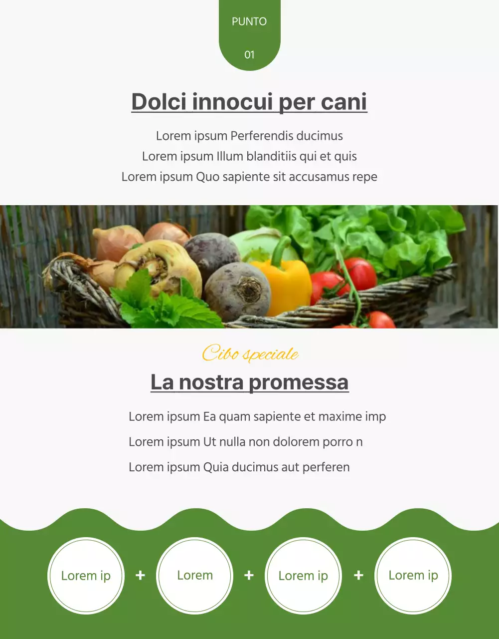 Sui bocconcini per animali domestici fatti in casa con un tocco di giallo e verde