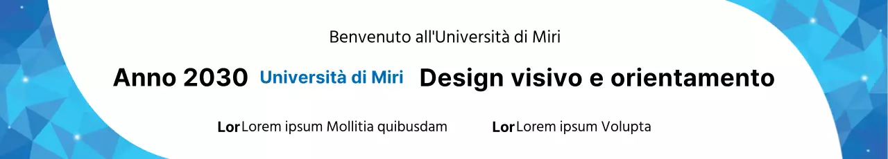43125_Università Otti