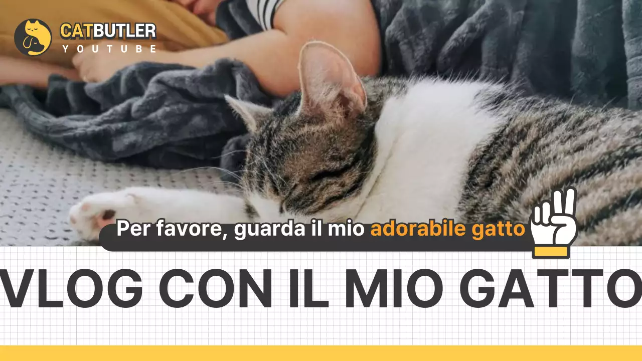 Vlog di gatti