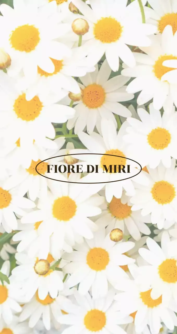 Concetto fotografico sulla camomilla emozionale per promuovere e informare i fioristi