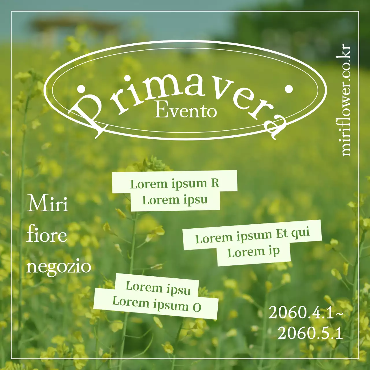 Evento di primavera in un campo di fiori gialli