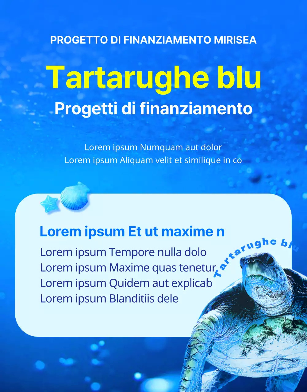 Finanziamenti per la conservazione della tartaruga marina blu e gialla, una creatura della barriera corallina a rischio di estinzione.