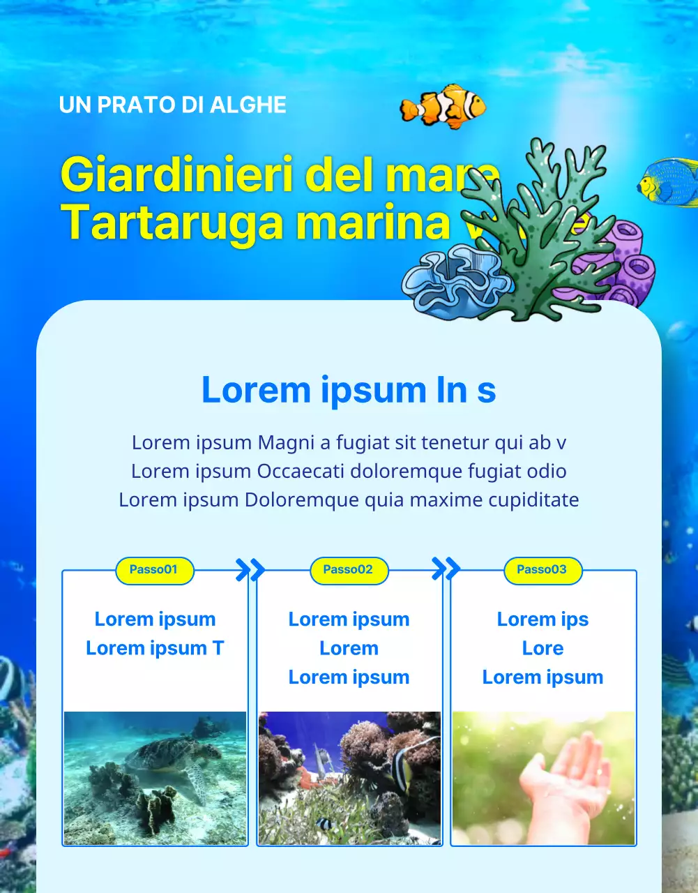 Finanziamenti per la conservazione della tartaruga marina blu e gialla, una creatura della barriera corallina a rischio di estinzione.