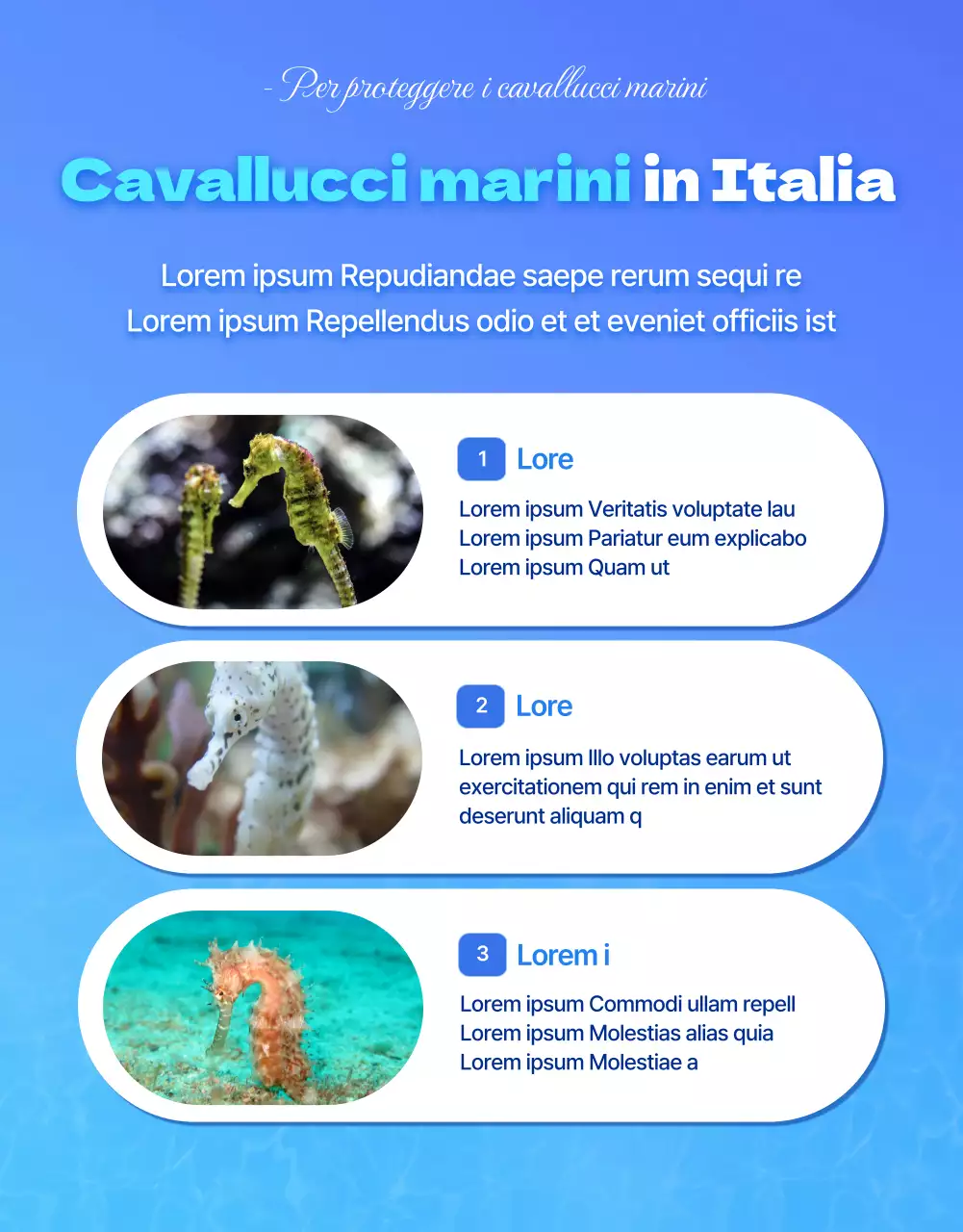 Cavalli marini, la creatura marina a rischio di estinzione nell'acqua blu e frescaDettagli sui finanziamenti per la conservazione dei cavallucci marini