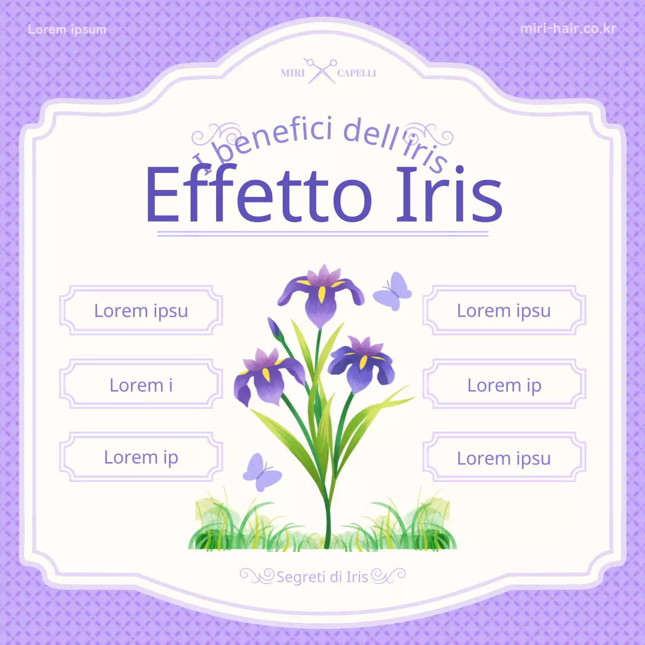 Introduzione ai concetti di illustrazione viola di dan-o e iris.