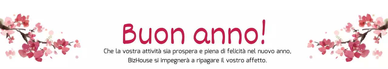 42010_Abito di Capodanno