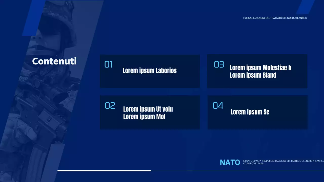 Semplice presentazione dell'Organizzazione del Trattato Nord Atlantico in blu