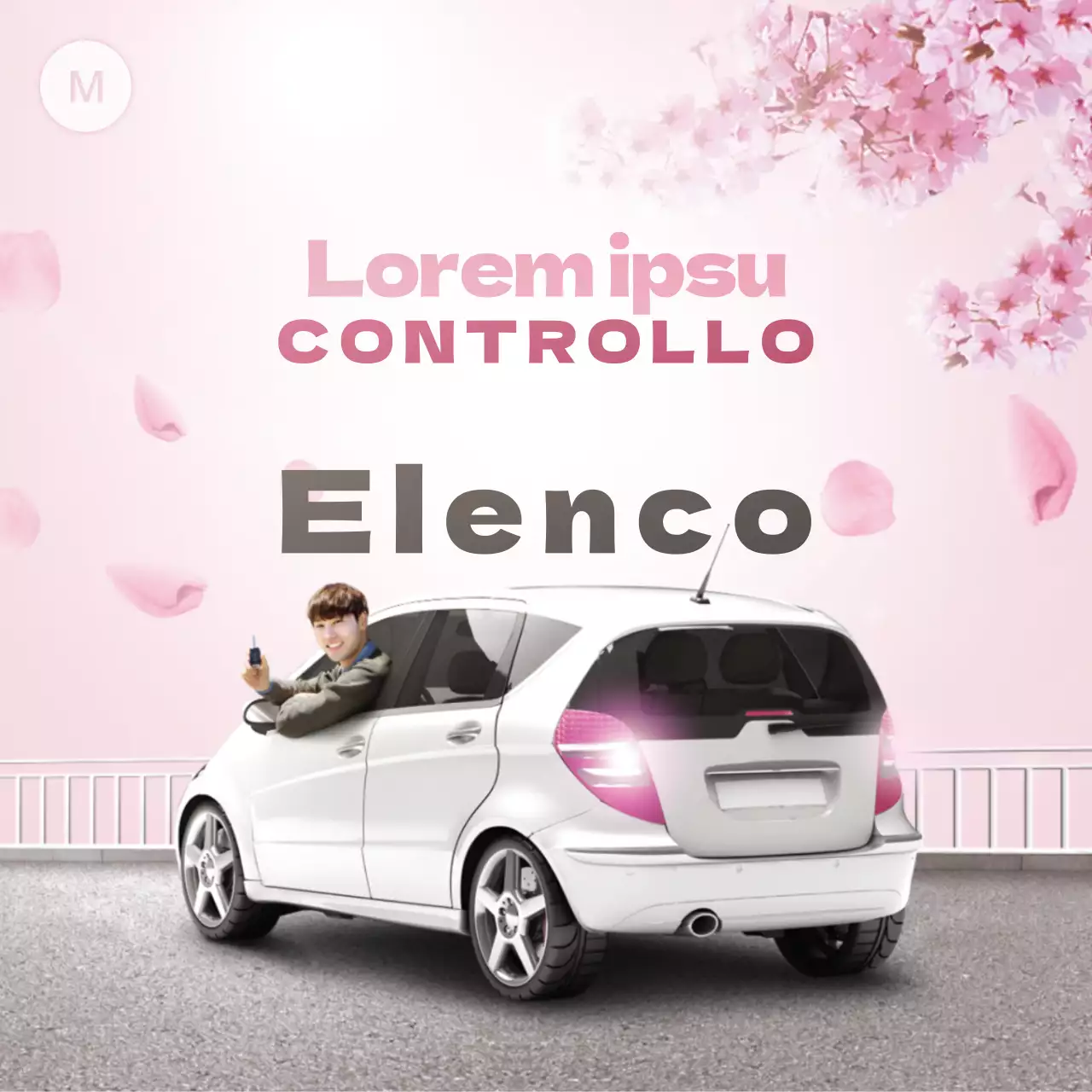 Ispezione del veicolo