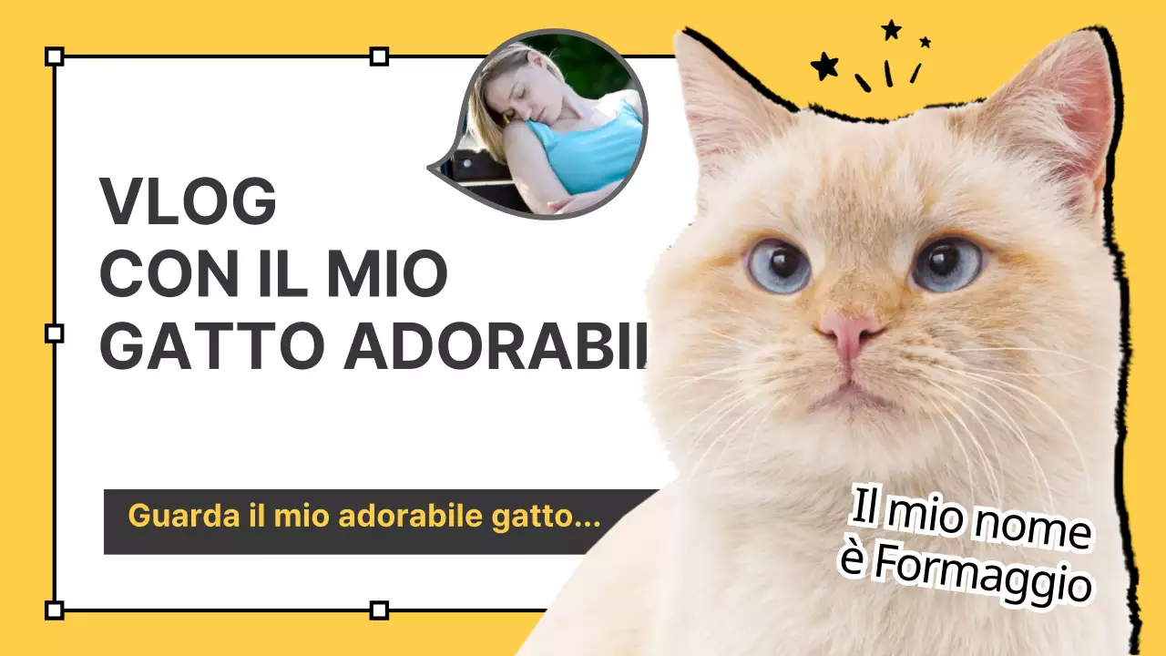 Vlog di gatti