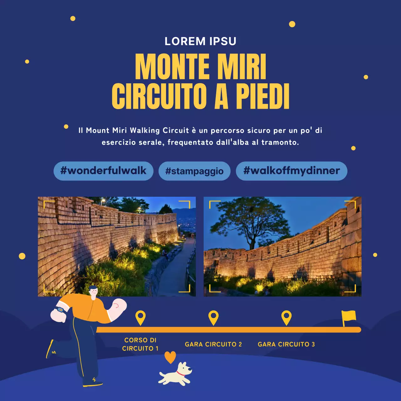 Guida alle attrazioni notturne blu e gialle