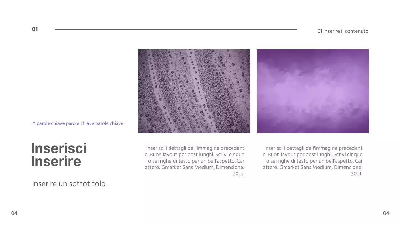 Presentazione dei mirtilli