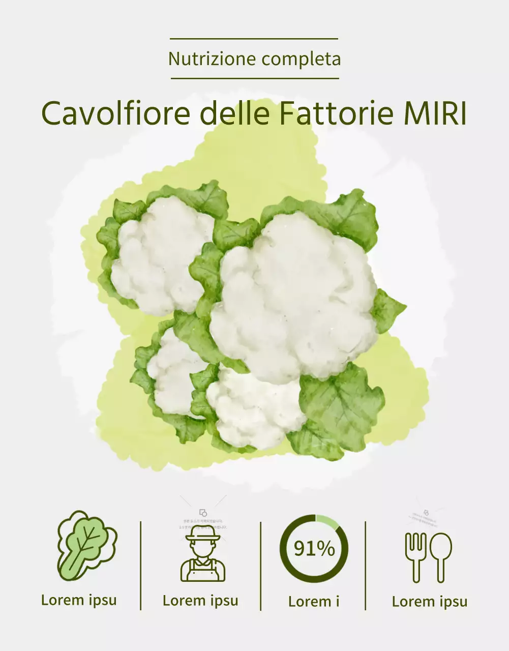Descrizione del prodotto della fattoria del cavolfiore con un tocco di verde chiaro ad acquerello