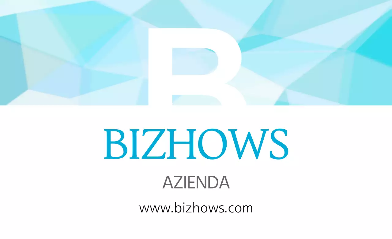 BIZHOWS