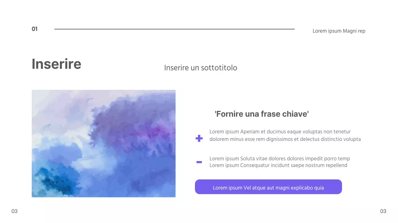 Presentazione dei mirtilli