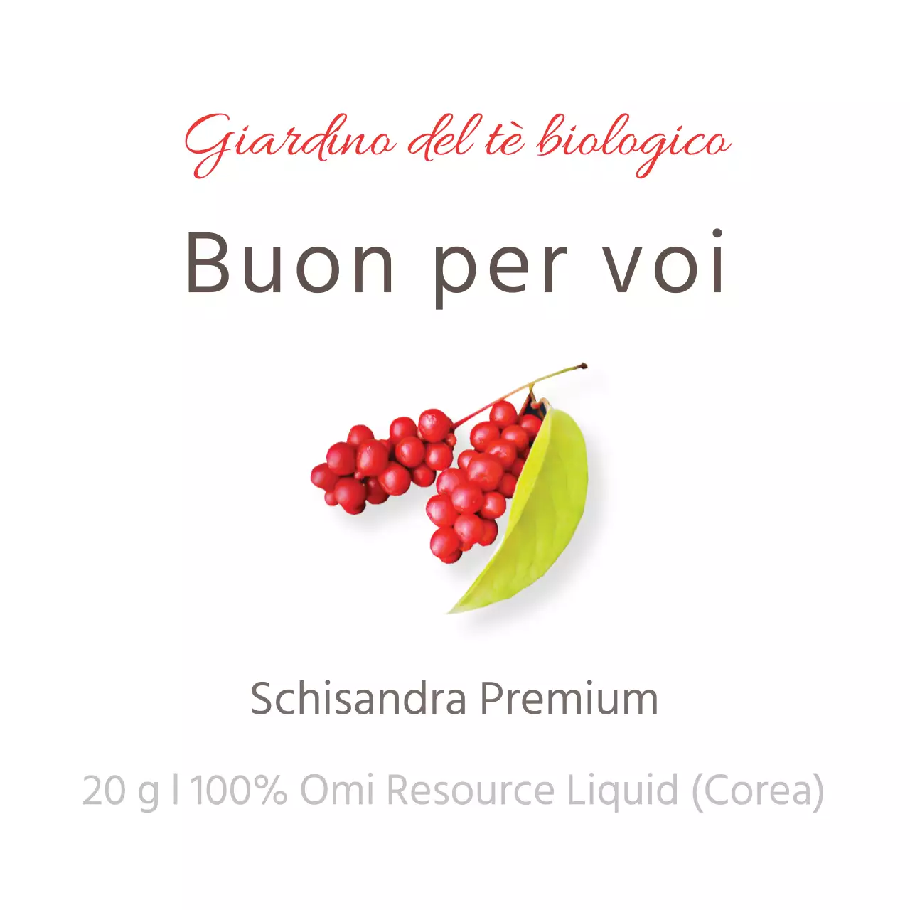 Adesivo rosso semplice Schisandra