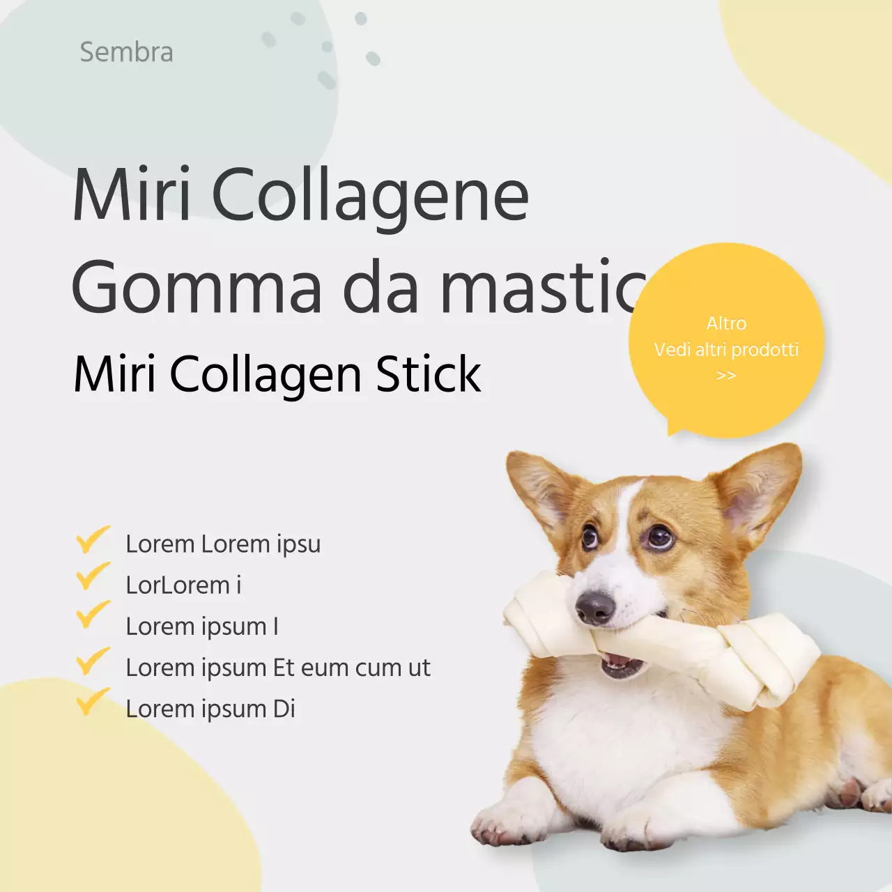 Avvisi informativi per cani dai colori pastello