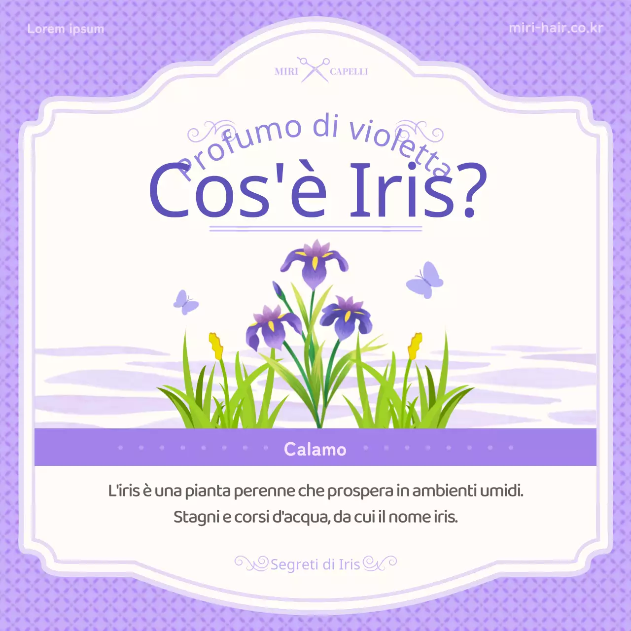 Introduzione ai concetti di illustrazione viola di dan-o e iris.