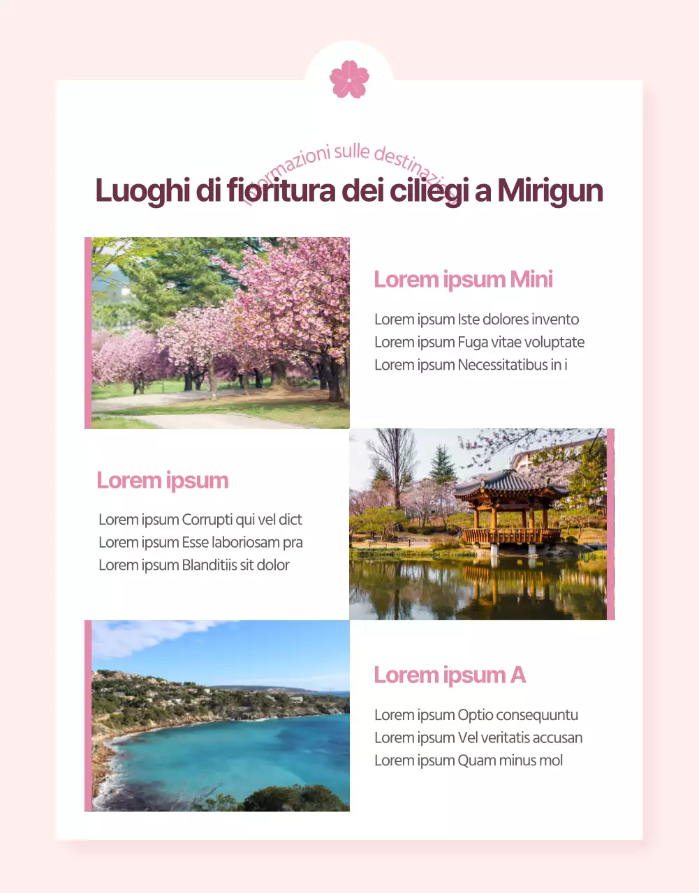 Promozione dei tour della fioritura dei ciliegi con un tocco di rosa