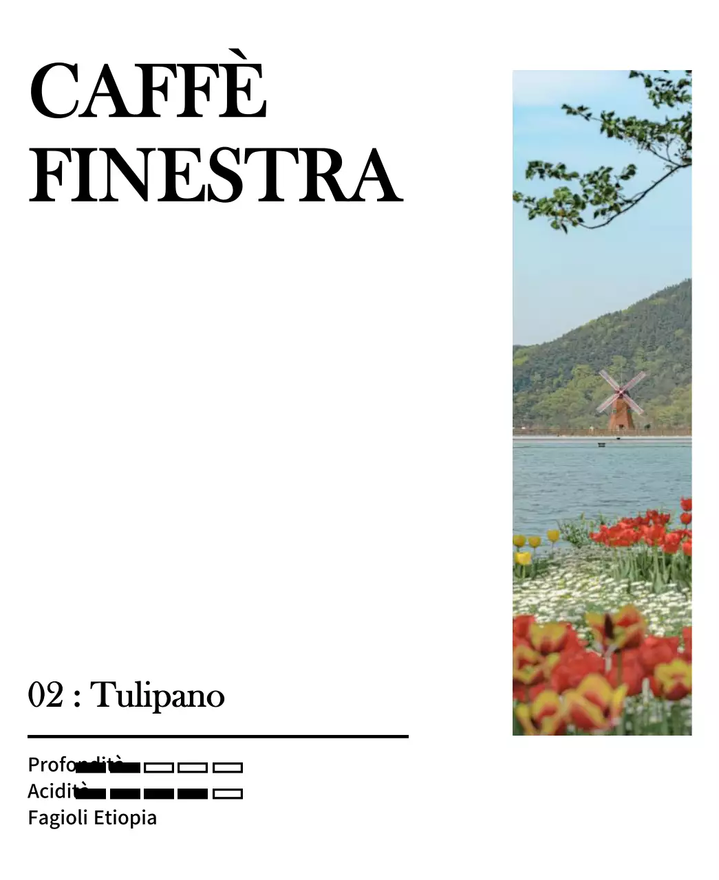 Un design semplice con una foto nera di un paesaggio di tulipani vintage