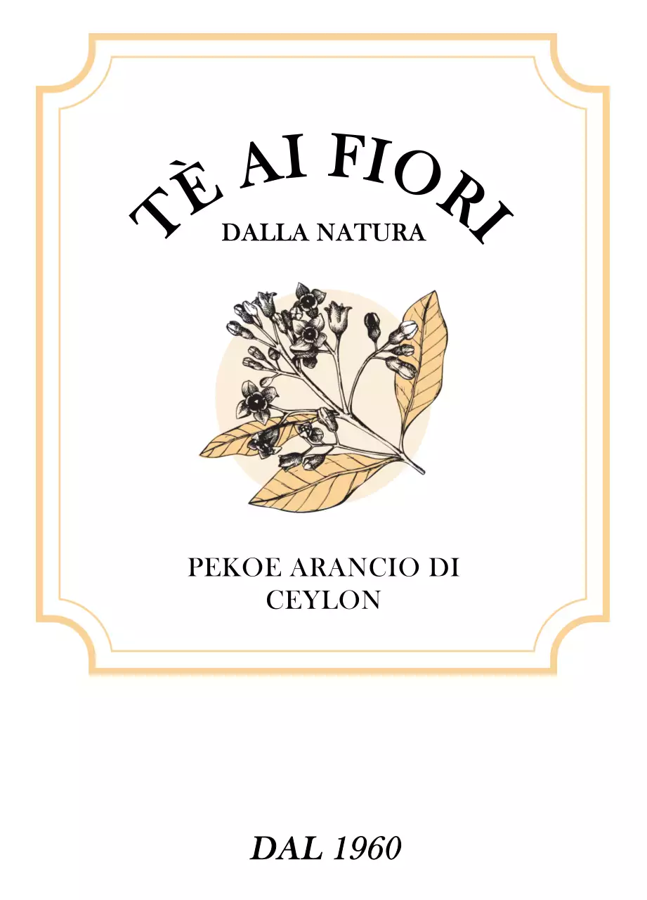 Lussuose bustine di tè con illustrazioni di piante e bacche in arancione e verde pastello