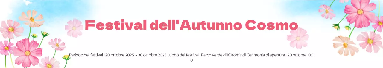 Festival Cosmos