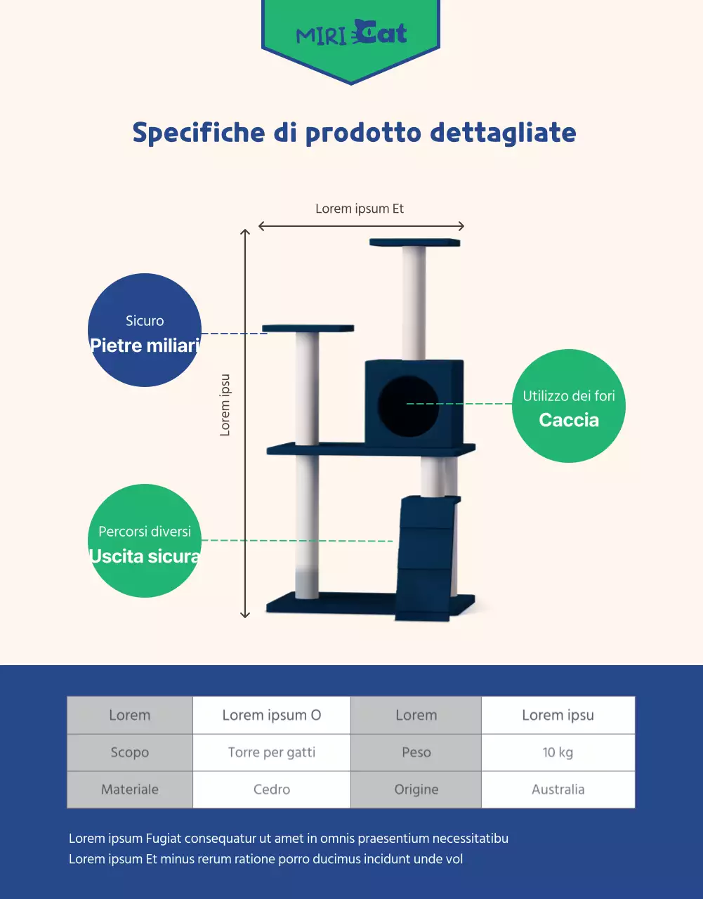 Un'offerta all-in-one di forniture per gatti verdi e marini