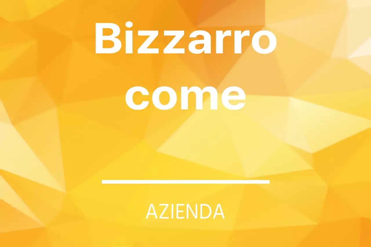 COME FUNZIONA LA BIZ