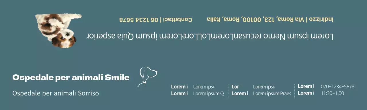 Concetto di orario della clinica veterinaria turchese
