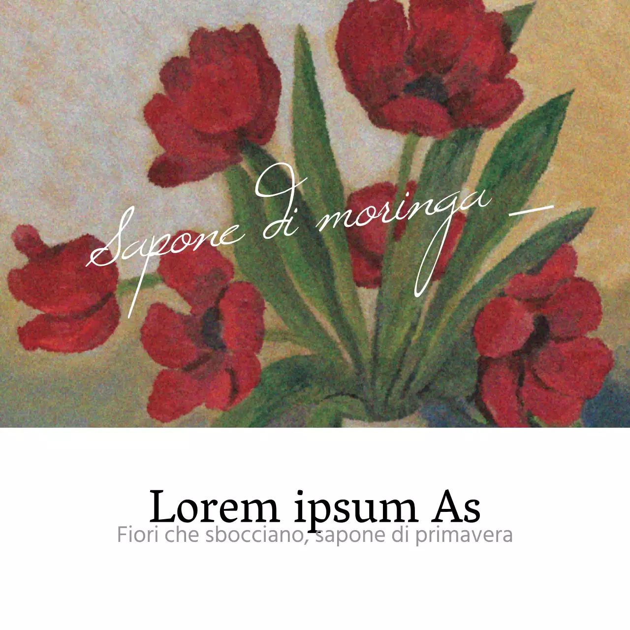 Quando i fiori sbocciano e la primavera